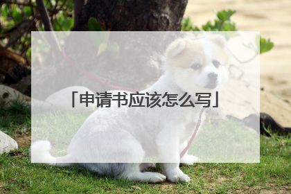 申请书应该怎么写