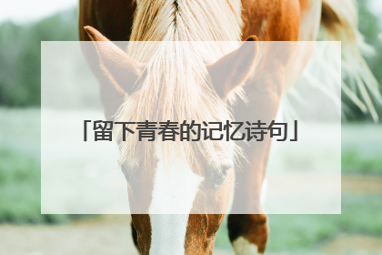 留下青春的记忆诗句