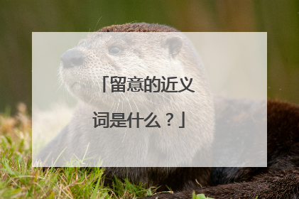 留意的近义词是什么？