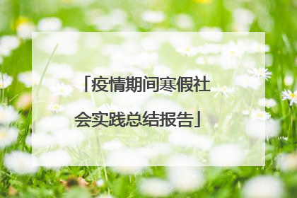 疫情期间寒假社会实践总结报告