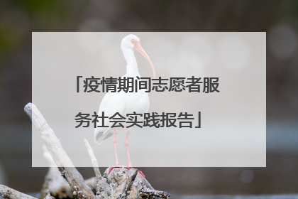 疫情期间志愿者服务社会实践报告