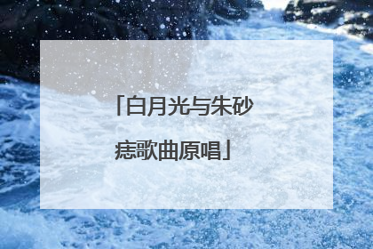 白月光与朱砂痣歌曲原唱