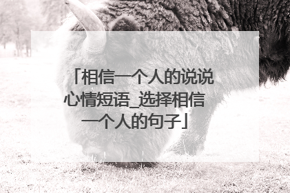 相信一个人的说说心情短语_选择相信一个人的句子
