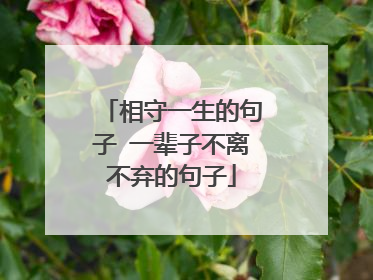 相守一生的句子 一辈子不离不弃的句子