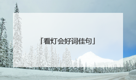 看灯会好词佳句