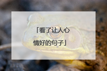 看了让人心情好的句子
