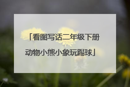 看图写话二年级下册动物小熊小象玩踢球