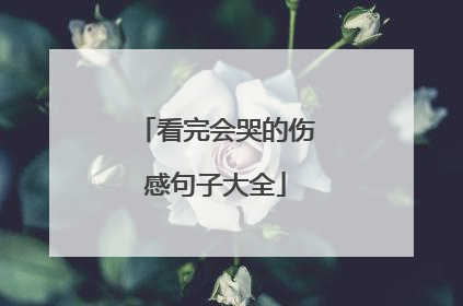 看完会哭的伤感句子大全