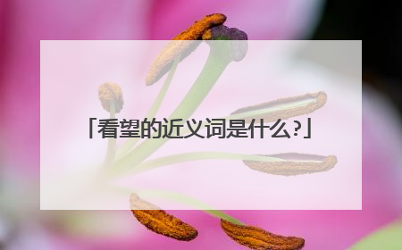 看望的近义词是什么?