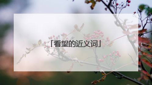 看望的近义词