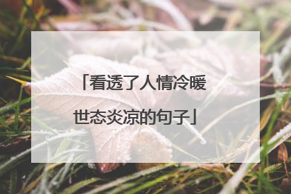 看透了人情冷暖世态炎凉的句子
