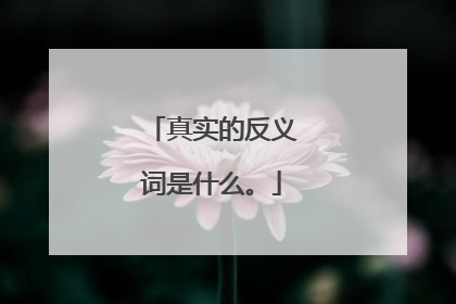 真实的反义词是什么。