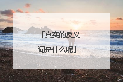 真实的反义词是什么呢
