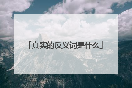 真实的反义词是什么