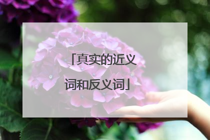 真实的近义词和反义词