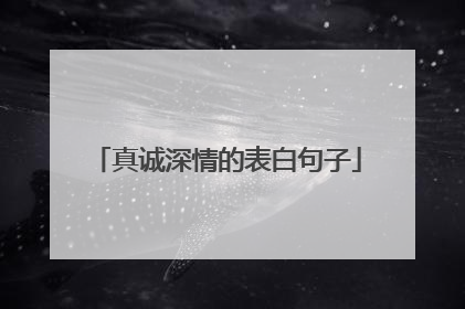 真诚深情的表白句子