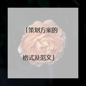 策划方案的格式及范文