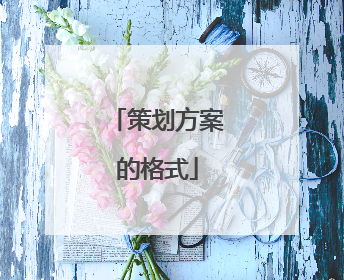 策划方案的格式
