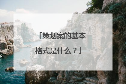 策划案的基本格式是什么？