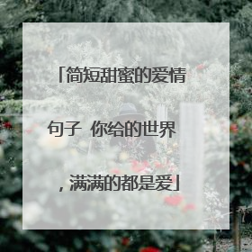 简短甜蜜的爱情句子 你给的世界,满满的都是爱