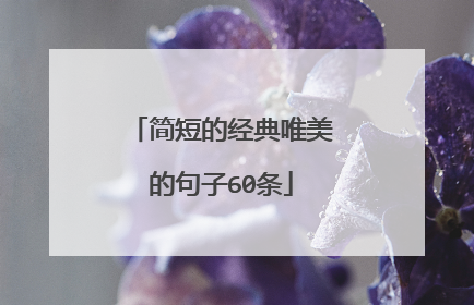 简短的经典唯美的句子60条