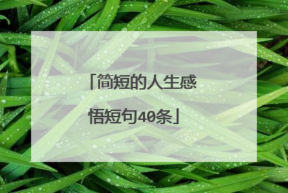简短的人生感悟短句40条