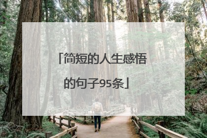 简短的人生感悟的句子95条