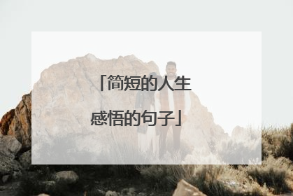 简短的人生感悟的句子