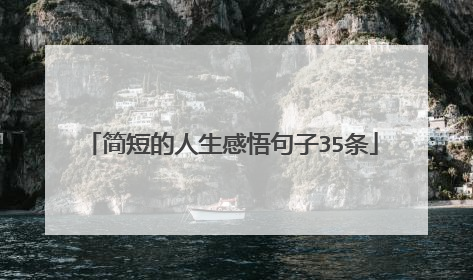 简短的人生感悟句子35条