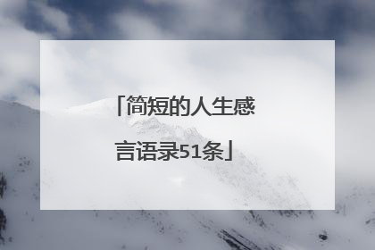 简短的人生感言语录51条