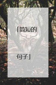 简短的句子