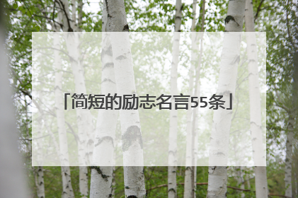 简短的励志名言55条