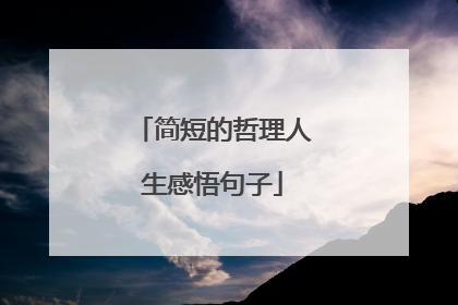 简短的哲理人生感悟句子