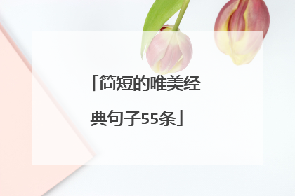 简短的唯美经典句子55条