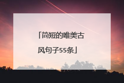 简短的唯美古风句子55条