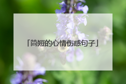 简短的心情伤感句子