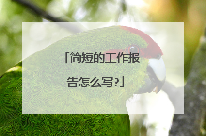 简短的工作报告怎么写?