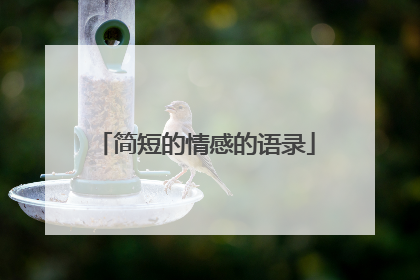 简短的情感的语录