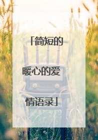 简短的暖心的爱情语录