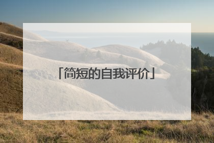 简短的自我评价