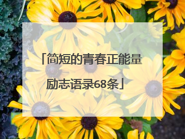 简短的青春正能量励志语录68条