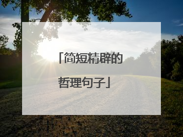 简短精辟的哲理句子