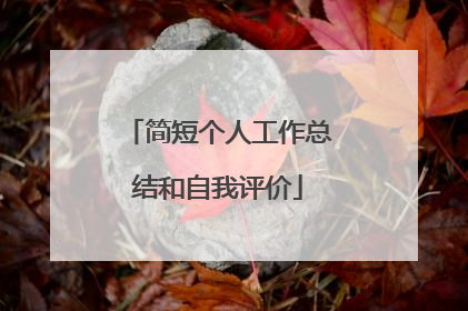 简短个人工作总结和自我评价