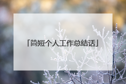 简短个人工作总结话