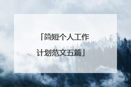 简短个人工作计划范文五篇