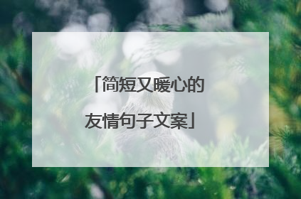 简短又暖心的友情句子文案