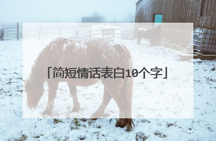 简短情话表白10个字