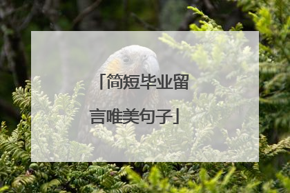 简短毕业留言唯美句子