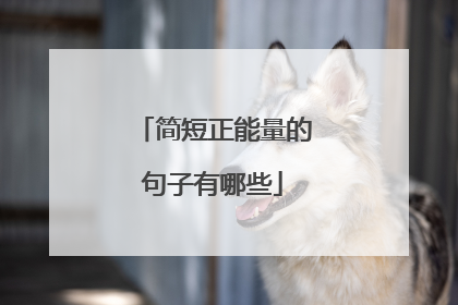 简短正能量的句子有哪些