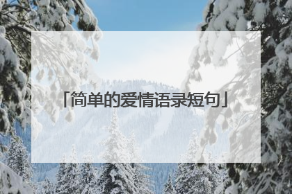 简单的爱情语录短句